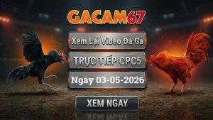 Xem Lại Video Đá Gà CPC5 Ngày 03/05/2026