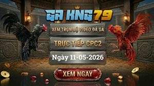Xem Lại Video Đá Gà CPC2 Ngày 11/05/2026