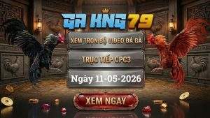 Xem Lại Video Đá Gà CPC3 Ngày 11/05/2026
