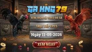 Xem Lại Video Đá Gà CPC5 Ngày 11/05/2026