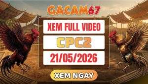 Xem Lại Video Đá Gà CPC2 Ngày 21/05/2026