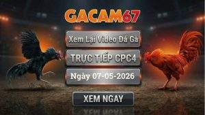 Xem Lại Video Đá Gà CPC4 Ngày 07/05/2026