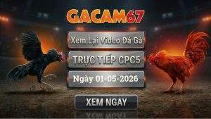 Xem Lại Video Đá Gà CPC5 Ngày 01/05/2026