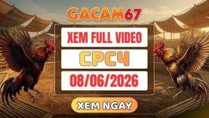 Xem Lại Video Đá Gà CPC4 Ngày 08/06/2026