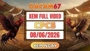 Xem Lại Video Đá Gà CPC5 Ngày 08/06/2026