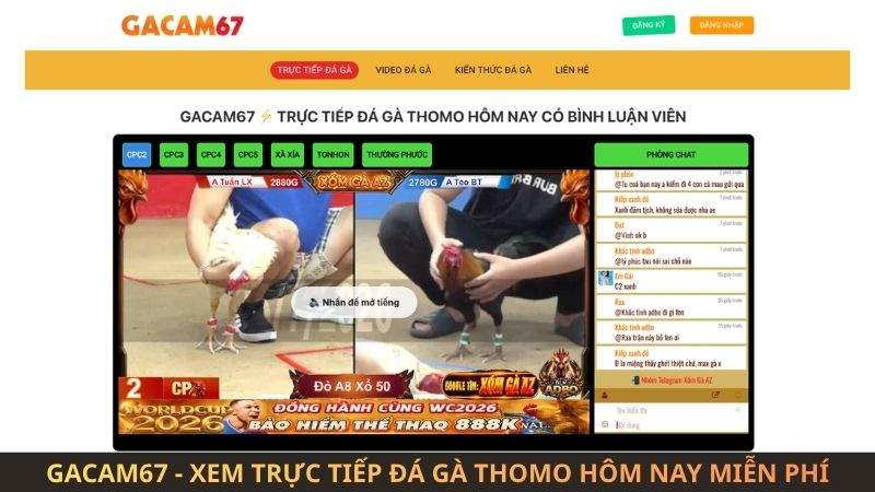 GACAM67 - Xem Trực Tiếp Đá Gà Trực Tiếp Hôm Nay Miễn Phí GACAM67 - Xem Trực Tiếp Đá Gà Trực Tiếp Hôm Nay Miễn Phí